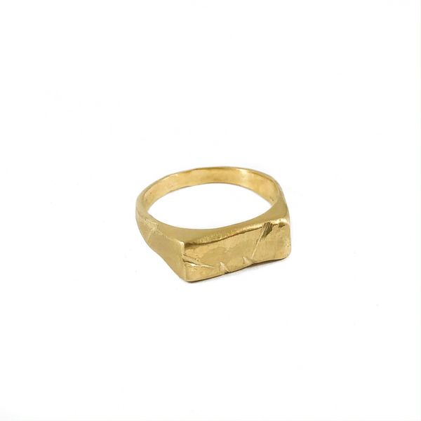 Shelton Metal Handmade Lem Signet Ring in 14k Yellow Gold Image 2 Lumina Gem Wilmington, NC