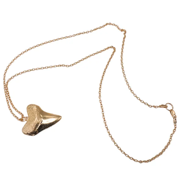Shark Tooth Necklace in 14k Yellow Gold Image 2 Lumina Gem Hampstead, NC