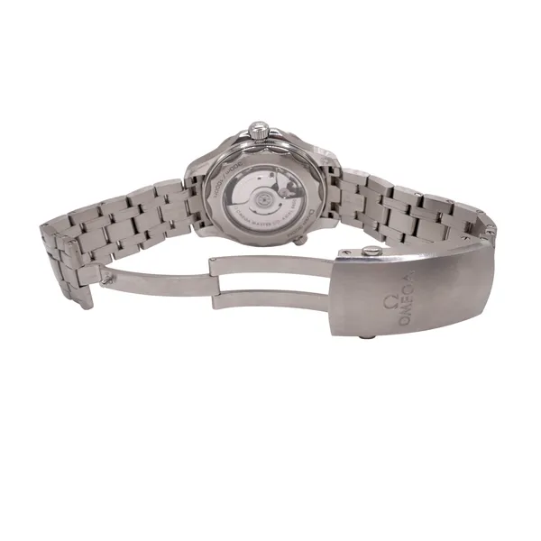 Omega Seamaster Professional Watch Image 3 Lumina Gem Hampstead, NC