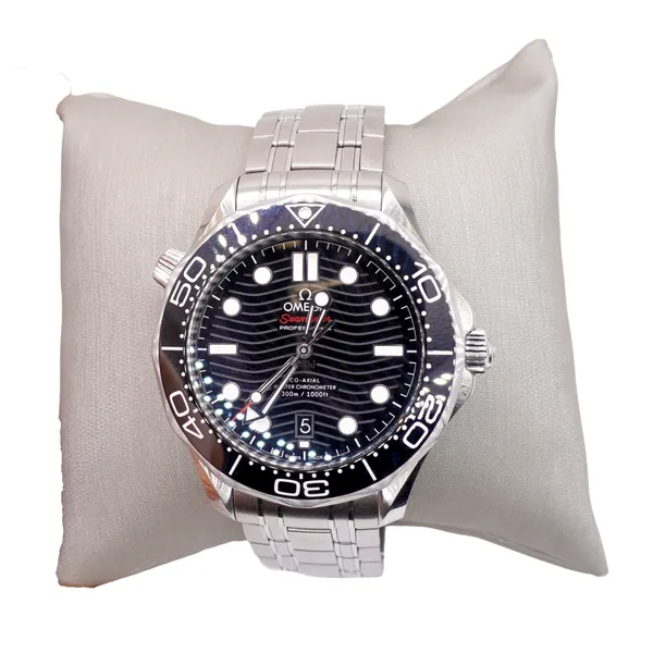 Omega Seamaster Professional Watch Lumina Gem Hampstead, NC