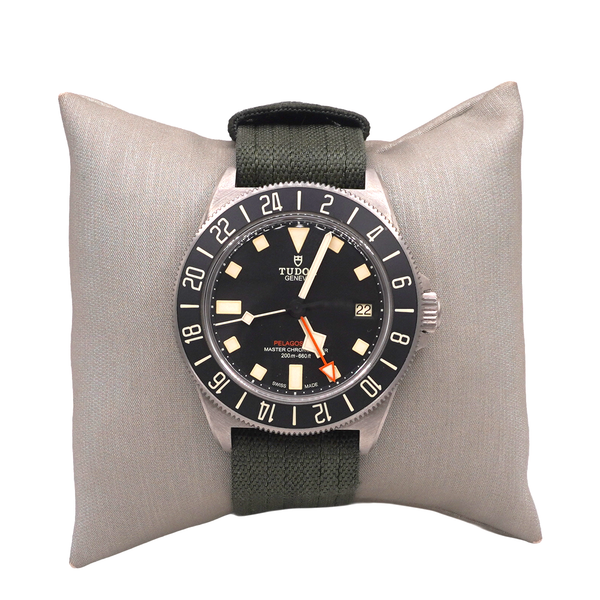 Titanium Tudor Pelagos Watch Lumina Gem Wilmington, NC