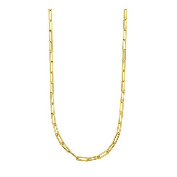 Charles Garnier Gold Plated Sterling Silver Paperclip Necklace Lumina Gem Wilmington, NC