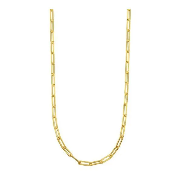 Charles Garnier Gold Plated Sterling Silver Paperclip Necklace Lumina Gem Wilmington, NC