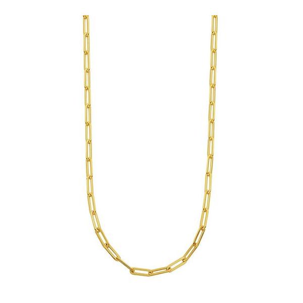 Charles Garnier Gold Plated Sterling Silver Paperclip Necklace Lumina Gem Wilmington, NC