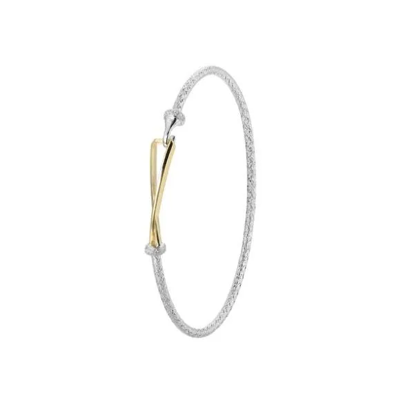 Charles Garnier Bangle with CZ and Gold Plated Hook Closure Lumina Gem Wilmington, NC