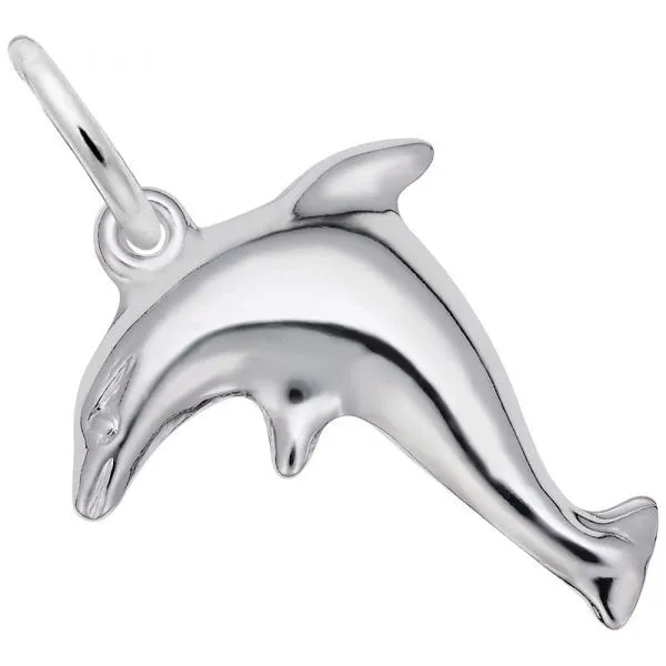 Rembrandt Sterling Silver Dolphin Charm Lumina Gem Hampstead, NC