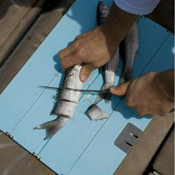 Toadfish Stowaway Cutting Board Image 5 Lumina Gem Wilmington, NC