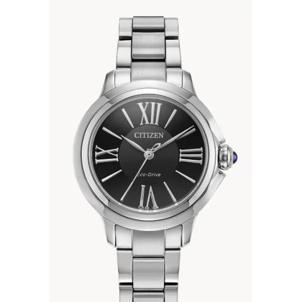 Citizen Ladies Eco-Drive WR50 Stainless Steel Watch – Black Dial | Elegant & Light-Powered MarBill Jewelers Belle Vernon, PA