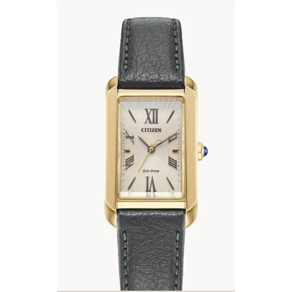 Citizen Ladies Eco-Drive WR50 Gold-Tone Stainless Steel Watch | Elegant & Light-Powered MarBill Jewelers Belle Vernon, PA