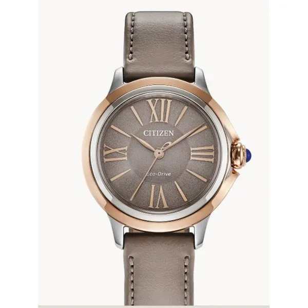 Citizen Ladies Eco-Drive WR50 Taupe Strap Watch | Elegant & Light-Powered MarBill Jewelers Belle Vernon, PA