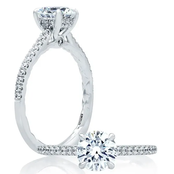 Four Prong Engagement Ring with Diamond Band | White 14K Gold | Size 6 Marc Robinson Jewelers Round Rock, TX
