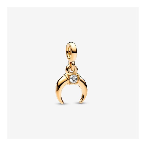 Pandora Charms Mari Lou's Fine Jewelry Orland Park, IL