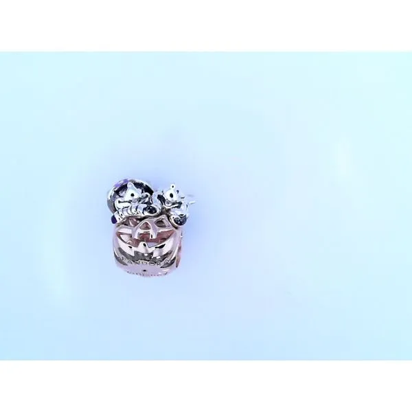 Pandora Charms Mari Lou's Fine Jewelry Orland Park, IL