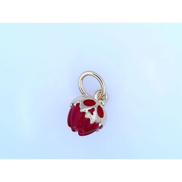 Pandora Charms Mari Lou's Fine Jewelry Orland Park, IL