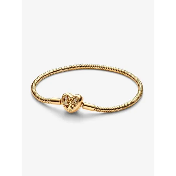Pandora Bracelets Mari Lou's Fine Jewelry Orland Park, IL