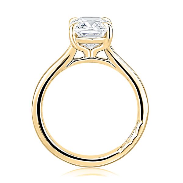 Double row split-shank Engagement Ring Image 3 Mark Allen Jewelers Santa Rosa, CA