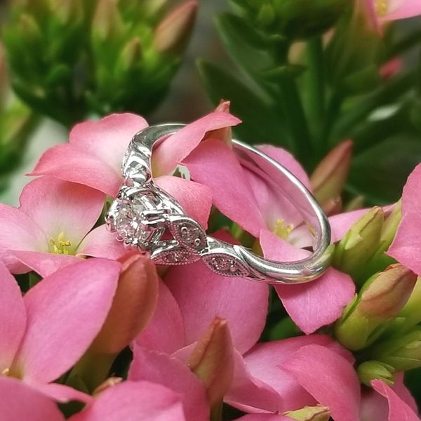 Diamond Engagement Ring-Complete Image 3 Mark Jewellers La Crosse, WI