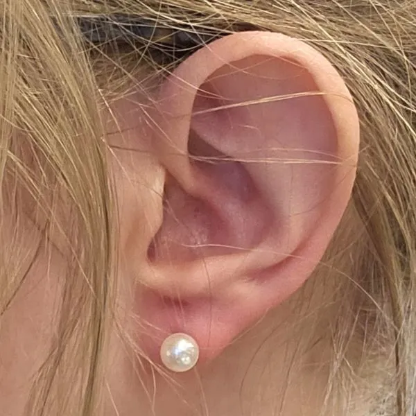 Yellow Gold Cultured Akoya Pearl Stud Earrings Image 2 Mark Jewellers La Crosse, WI