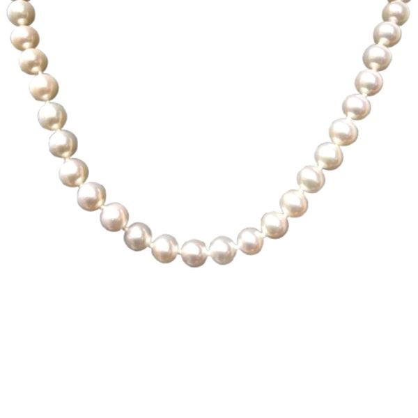 Yellow Gold 18