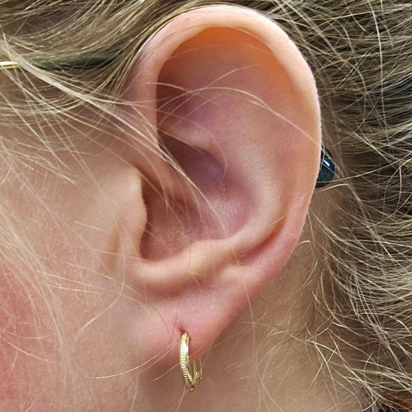 Yellow Gold Hinged Hoop Earrings Image 2 Mark Jewellers La Crosse, WI