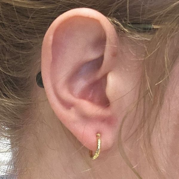 Yellow Gold Hoop Earrings Image 2 Mark Jewellers La Crosse, WI