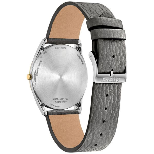 Gents' Eco-Drive Two Tone Leather Band Watch Image 2 Mark Jewellers La Crosse, WI