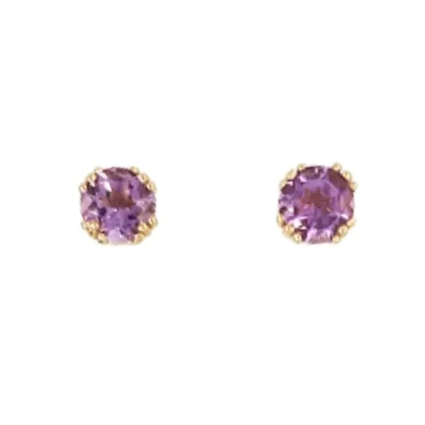 February Birthstone Studs Mark Jewellers La Crosse, WI