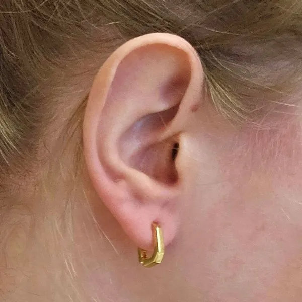 Gold-Plated Sterling Hexagon Hoop Earrings Image 2 Mark Jewellers La Crosse, WI