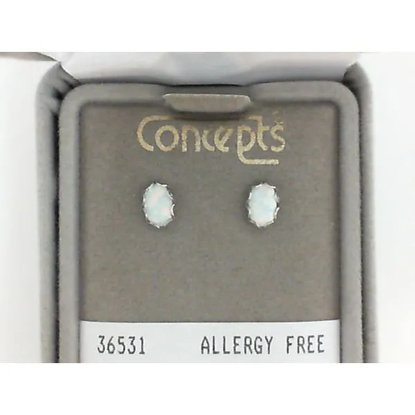 Allergy-Free Earrings Image 2 Mark Jewellers La Crosse, WI