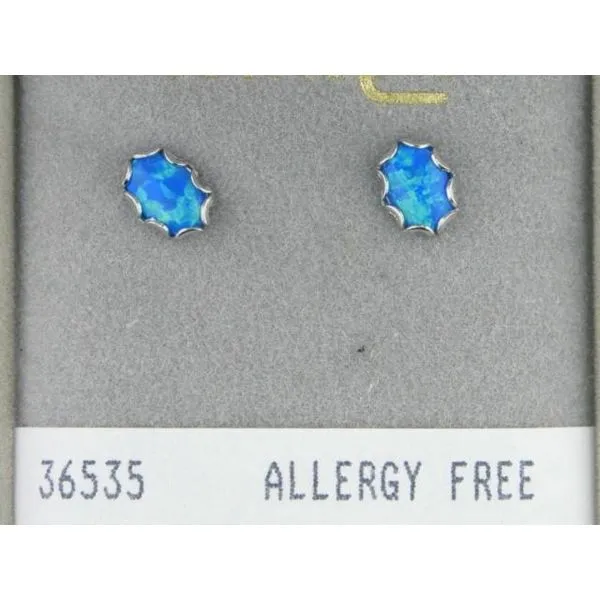 Allergy-Free Earrings Image 2 Mark Jewellers La Crosse, WI