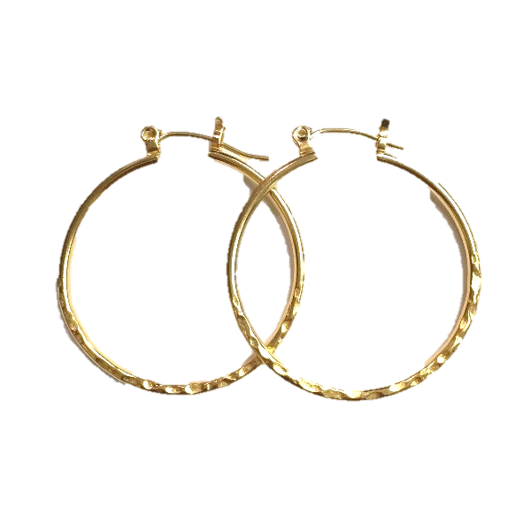 Allergy-Free Earrings Mark Jewellers La Crosse, WI