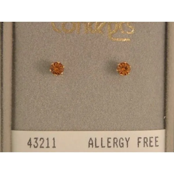 Hypoallergenic Earrings Image 2 Mark Jewellers La Crosse, WI