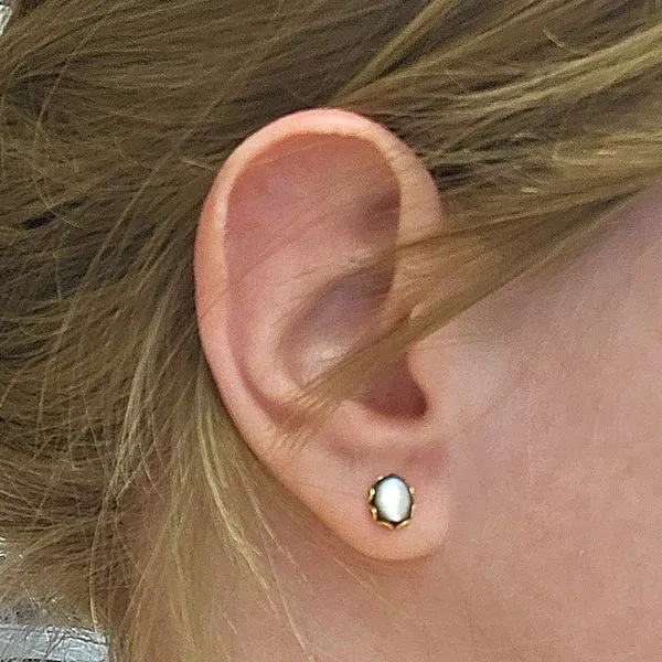 Hypoallergenic Tahitian Shell Pearl Earrings Image 2 Mark Jewellers La Crosse, WI