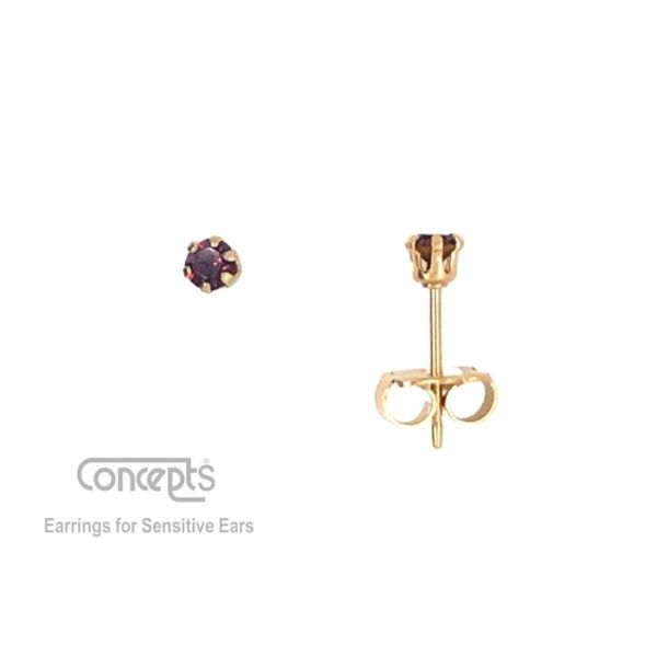 Hypoallergenic February Birthstone Earrings Mark Jewellers La Crosse, WI