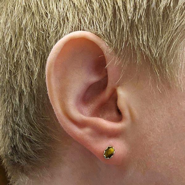 Hypoallergenic Tiger Eye Earrings Image 2 Mark Jewellers La Crosse, WI