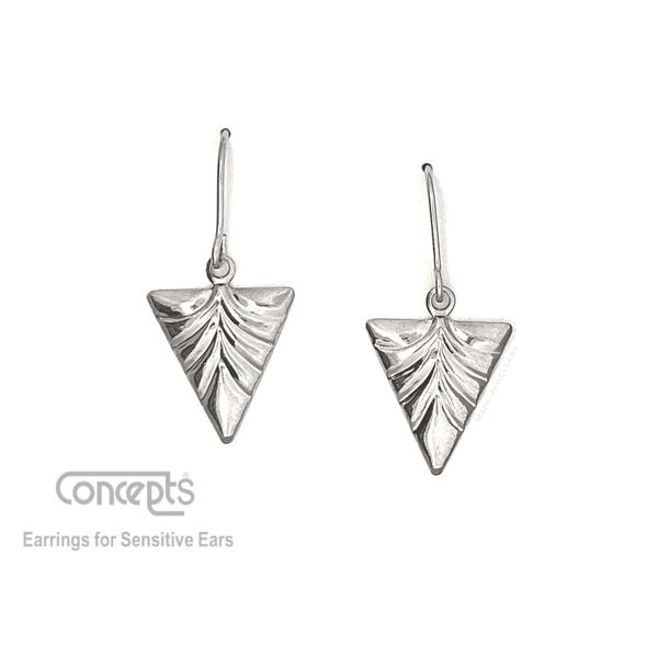 Hypoallergenic Triangle Drop Earrings Mark Jewellers La Crosse, WI