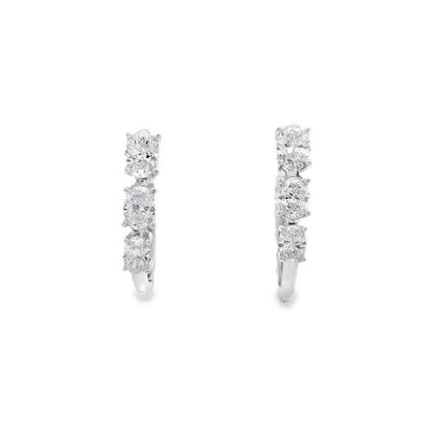  14k Gold Lab Grown Earrings Marks of Design Shelton, CT