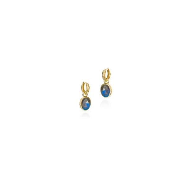 Sterling/18K Plate Earrings with Gemstones Marks of Design Shelton, CT