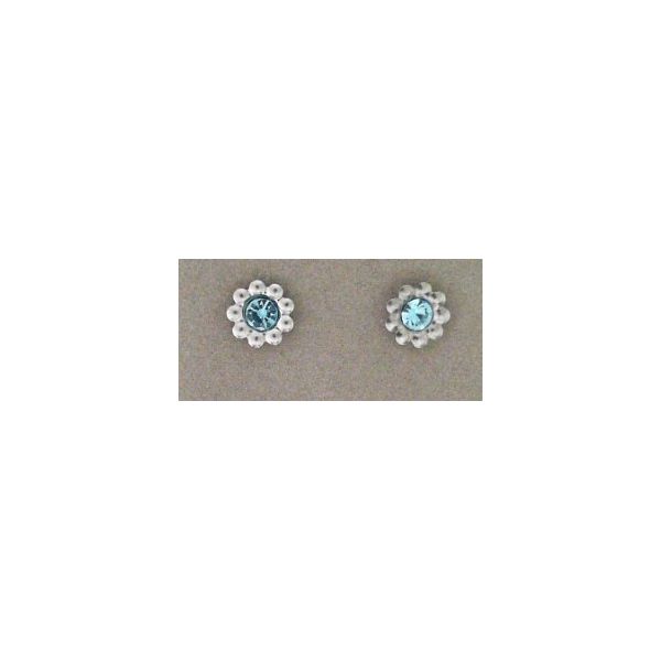 Alternative Metal Earrings w/ Stones Marks of Design Shelton, CT