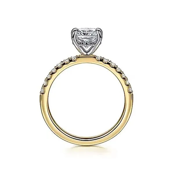 Engagement Ring Image 3 Mathew Jewelers, Inc. Zelienople, PA