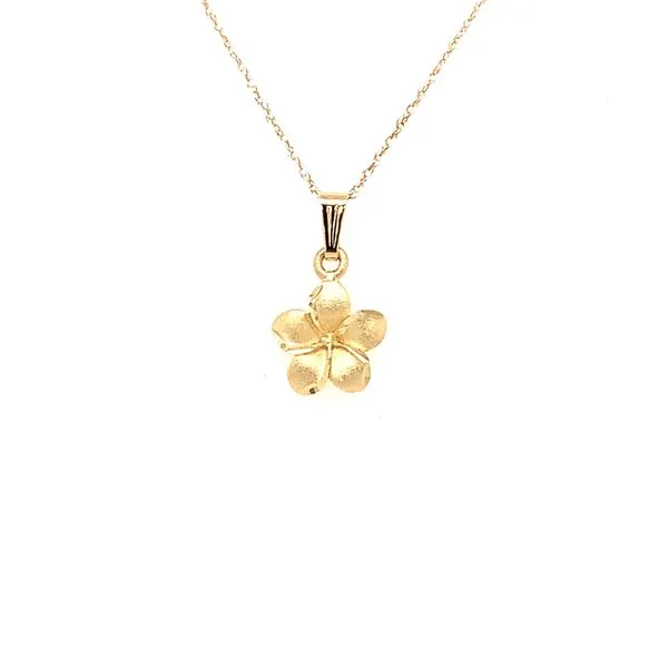 Pendant Mathew Jewelers, Inc. Zelienople, PA