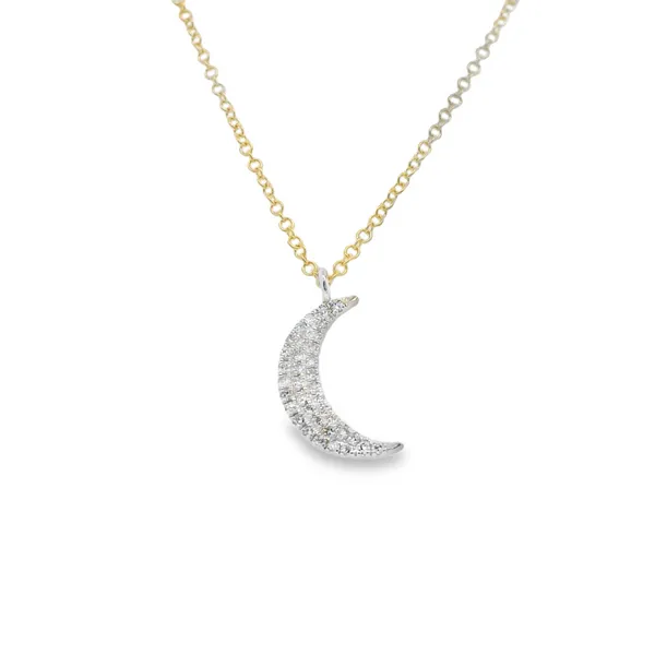 Pendant McCarver Moser Sarasota, FL