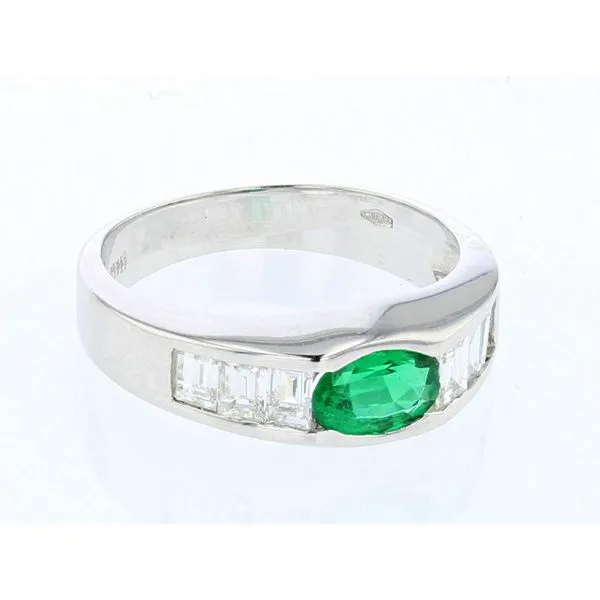 Emerald Image 2 McCarver Moser Sarasota, FL