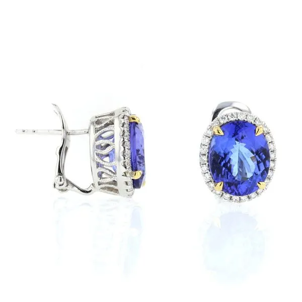 Tanzanite Earrings McCarver Moser Sarasota, FL