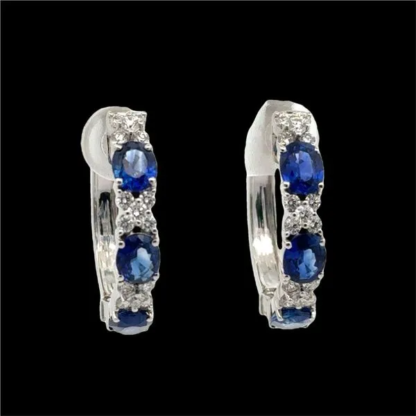 Earrings McCarver Moser Sarasota, FL