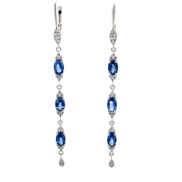 Earrings McCarver Moser Sarasota, FL