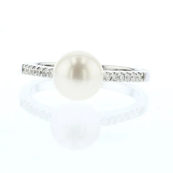 Ring McCarver Moser Sarasota, FL