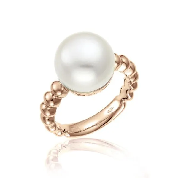 Ring McCarver Moser Sarasota, FL