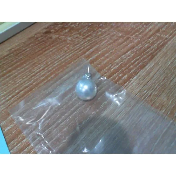 Pendant McCarver Moser Sarasota, FL