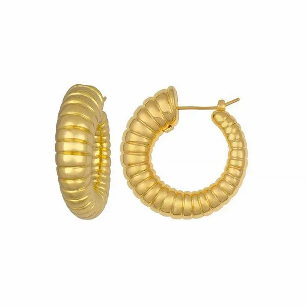 Earrings McCarver Moser Sarasota, FL